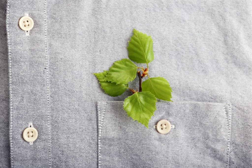 Fresh green leaves tucked in a shirt pocket